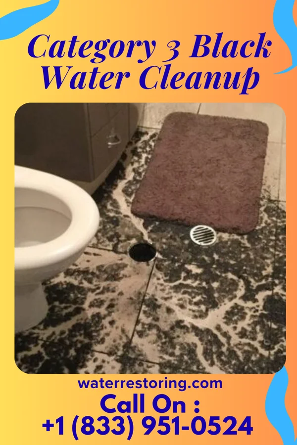 Category 3 Black Water Cleanup in Uvalde, TX