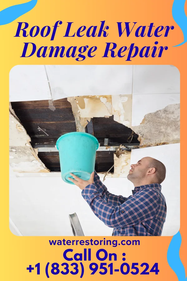 Roof Leak Water Damage Repair in Uvalde, TX