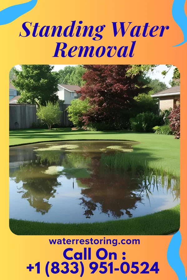 Standing Water Removal in Uvalde, TX